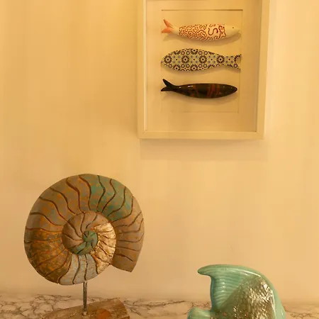 Sunny House Albufeira