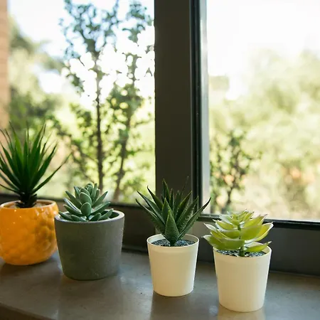 Sunny House Casa vacanze